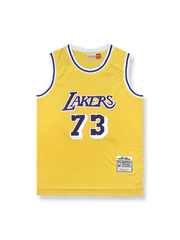 1998-99年 ロサンゼルス・レイカーズ ホームジャージ デニス・ロッドマン 73番 希少モデル
