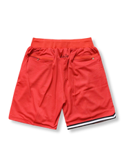 2010年 マイアミ・ヒート オルタネート レッド バスケットボールショーツ