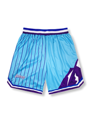 ストライプ切り替え バスケットボールショーツ 五分丈, カラーブロックショーツ